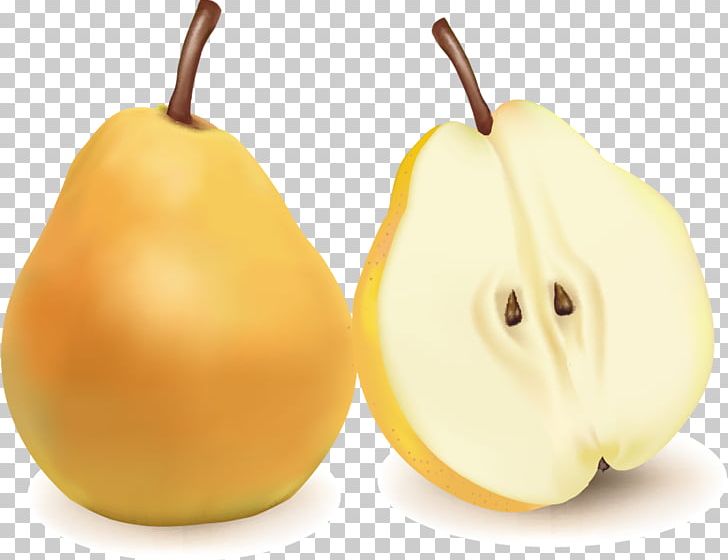 Pear Fruit Kompot PNG, Clipart, Berry, Computer Icons, Cucurbita, Food, Fruit Free PNG Download