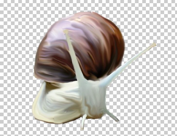 Snail Watercolor Painting Portable Network Graphics PNG, Clipart, Animals, Cartoon, Comics, Download, Drawing Free PNG Download