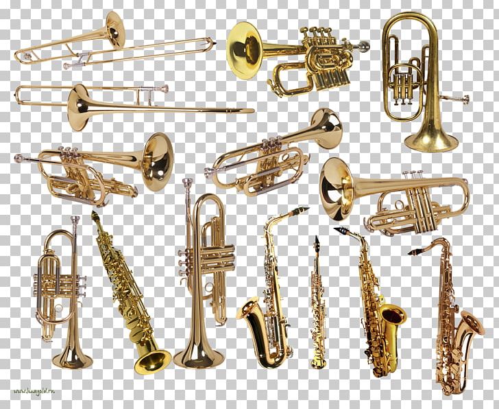 Woodwind Instrument Musical Instruments Orchestra PNG, Clipart, Aerophone, Alto Horn, Brass, Brass Instrument, Brass Instruments Free PNG Download