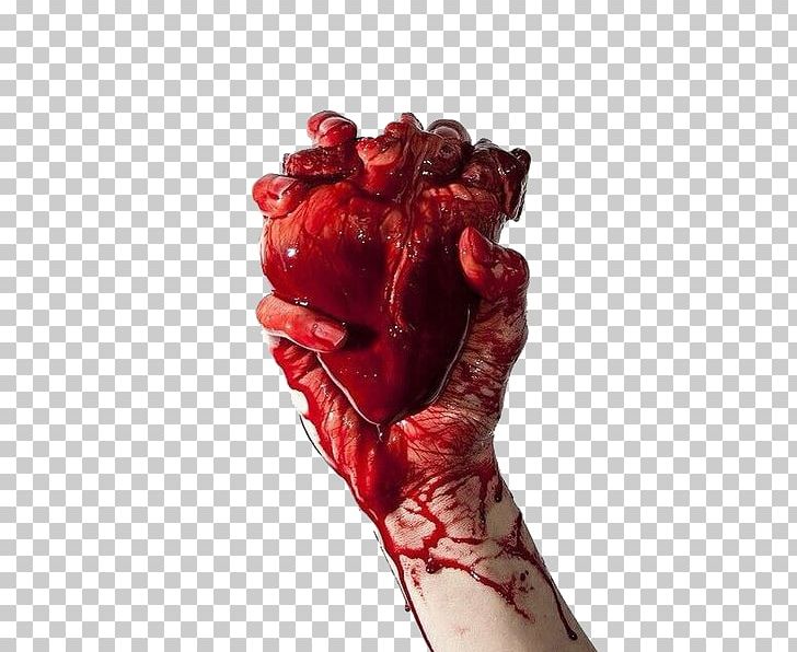Heart Blood Hand Anatomy PNG, Clipart, Anatomy, Arm, Blood, Desktop Wallpaper, Elbow Free PNG Download