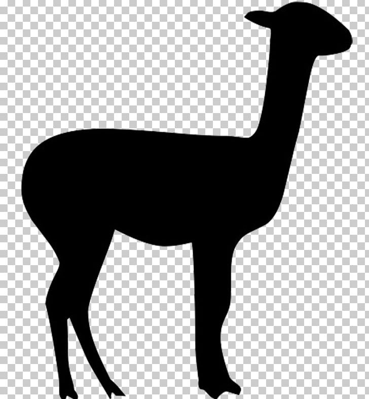 Llama Alpaca Vicuña PNG, Clipart, Alpaca, Animals, Black And White, Camel Like Mammal, Computer Icons Free PNG Download