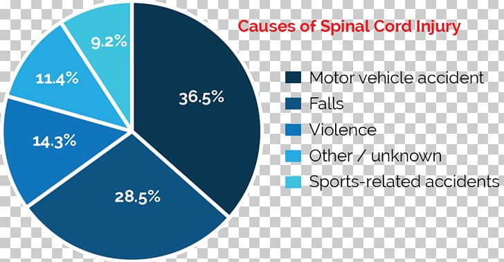 Spinal Cord Injury Medicine Vertebral Column PNG, Clipart, Area, Blue, Brand, Burn, Circle Free PNG Download