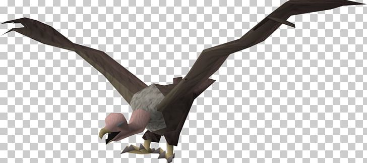 Turkey Vulture Bird Goose PNG, Clipart, Animal Figure, Animals, Animation, Beak, Bird Free PNG Download