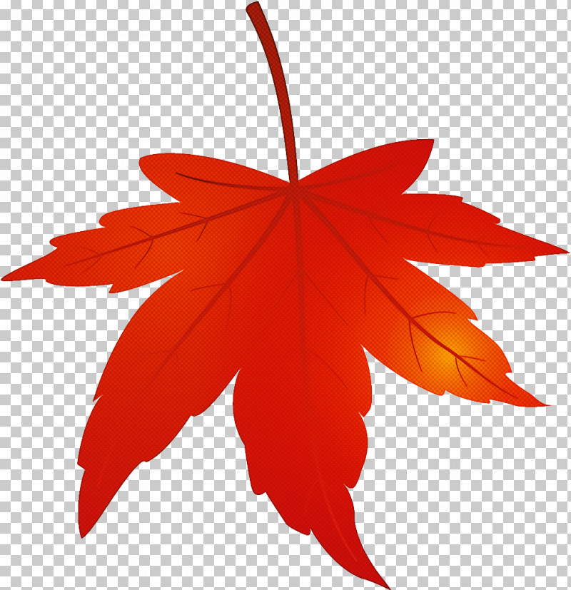 Maple Leaf Autumn Leaf Yellow Leaf PNG, Clipart, Autumn Leaf, Black Maple, Coquelicot, Deciduous, Flower Free PNG Download