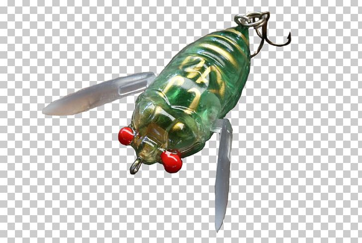Spoon Lure Insect Fishing Baits & Lures Cicadas Spinnerbait PNG, Clipart, Animal, Animals, Bait, Cicada, Cicadas Free PNG Download