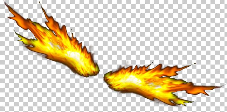 Flame Combustion PNG, Clipart, Angels Wings, Angel Wing, Angel Wings, Bright, Burn Free PNG Download