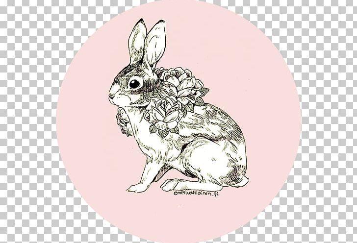Hare Rabbit Drawing Illustrator PNG, Clipart, Animals, Art, Brush Rabbit, Bunny, Domestic Rabbit Free PNG Download