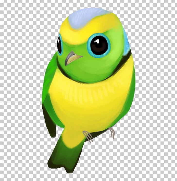 Parakeet Beak Pet PNG, Clipart, Beak, Bird, Common Pet Parakeet, Green, Others Free PNG Download