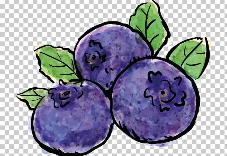 Blueberry Photography Painting Drawing PNG, Clipart, Art, Artist, Auglis, Bilberry, Blueberry Free PNG Download