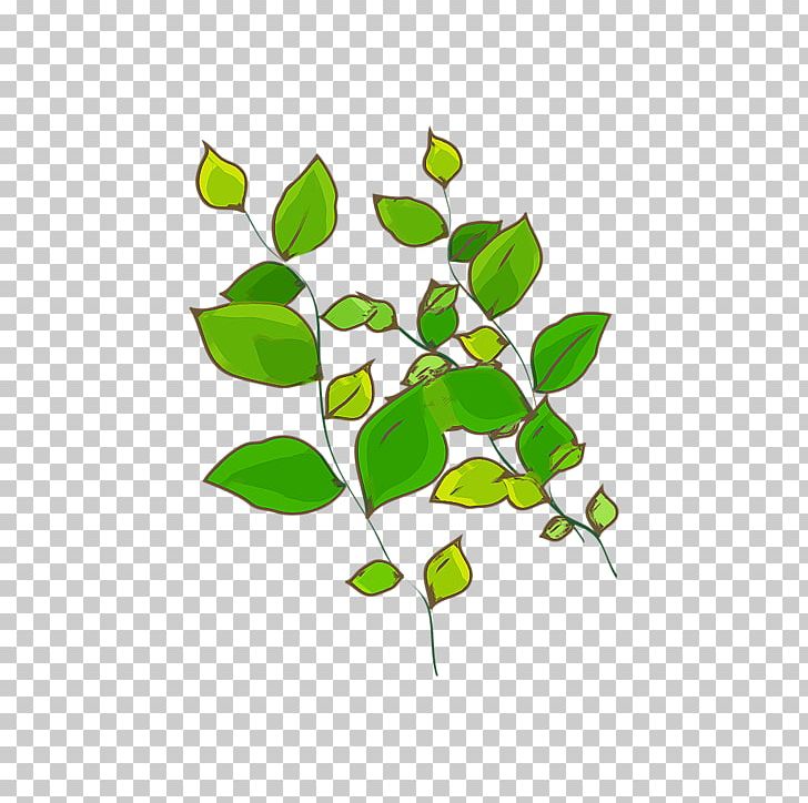 Green Leaf Plant Computer File PNG, Clipart, Background Green, Branch, Compute, Concepteur, Download Free PNG Download