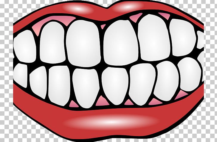 Human Tooth Dentistry Tooth Whitening PNG, Clipart, Computer Icons, Dentist, Dentistry, Human Mouth, Human Tooth Free PNG Download