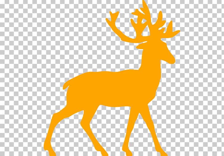 White-tailed Deer Rudolph Reindeer PNG, Clipart, Animal Figure, Animals, Antler, Blacktailed Deer, Call Free PNG Download