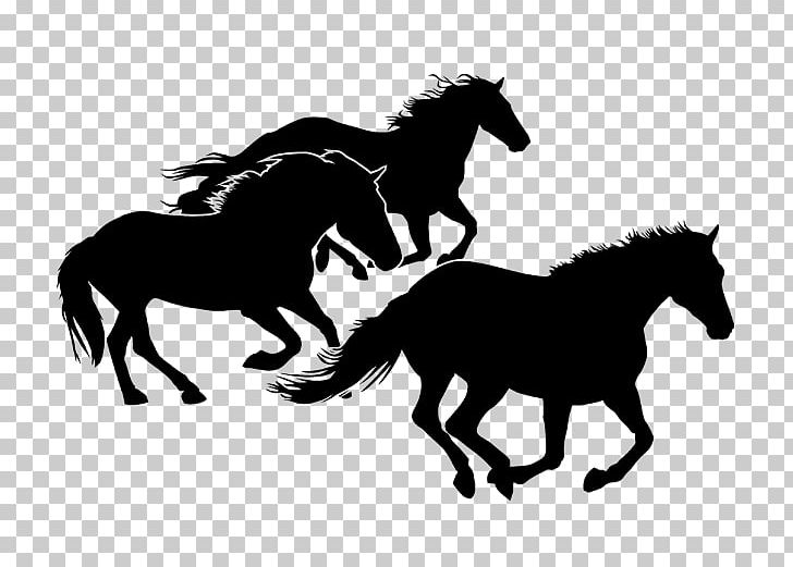 Horseshoe Equestrian Pony Silhouette PNG, Clipart, Animals, Black And White, Bridle, Carriage, Drawing Free PNG Download