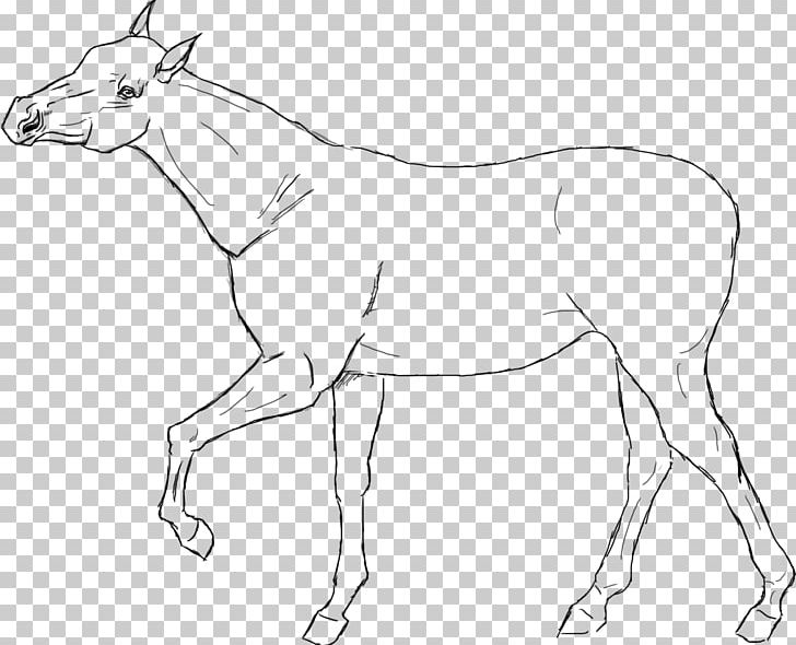 Line Art American Quarter Horse Racking Horse Drawing PNG, Clipart, American Quarter Horse, Animal, Animal Figure, Art, Artwork Free PNG Download