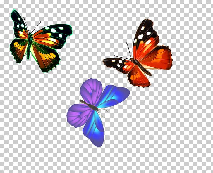 Monarch Butterfly Nymphalidae Pattern PNG, Clipart, Arthropod, Birds, Birds And Insects, Blue Butterfly, Brush Footed Butterfly Free PNG Download