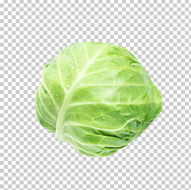 Savoy Cabbage Romaine Lettuce Red Cabbage Spring Greens PNG, Clipart, Amaranthus Tricolor, Brassica Oleracea, Cabbage, Cabbage Leaves, Cabbage Roses Free PNG Download