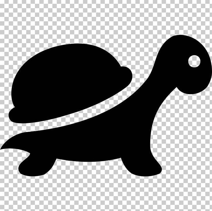 Sea Turtle Tortoise Reptile PNG, Clipart, African Spurred Tortoise, Animal, Animals, Asian Forest Tortoise, Black And White Free PNG Download