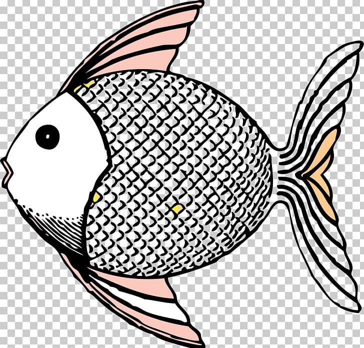 Fish Drawing PNG, Clipart, Animals, Artwork, Beak, Clownfish, Computer Icons Free PNG Download