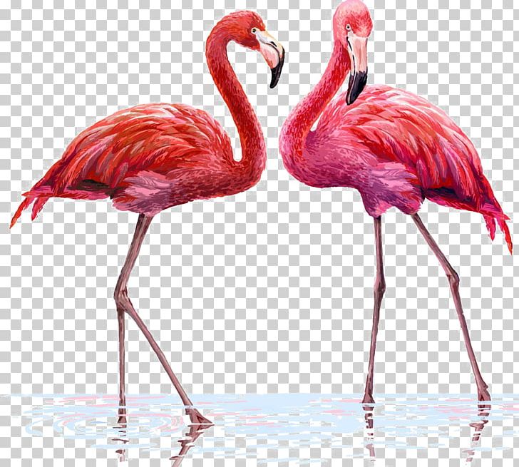 Flamingo Illustration PNG, Clipart, Beak, Bird, Birds, Canvas, Cartoon Free PNG Download