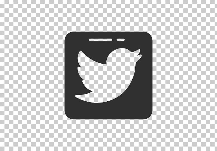 Computer Icons Social Media PNG, Clipart, Bird, Black, Black And White, Computer Icons, Download Free PNG Download
