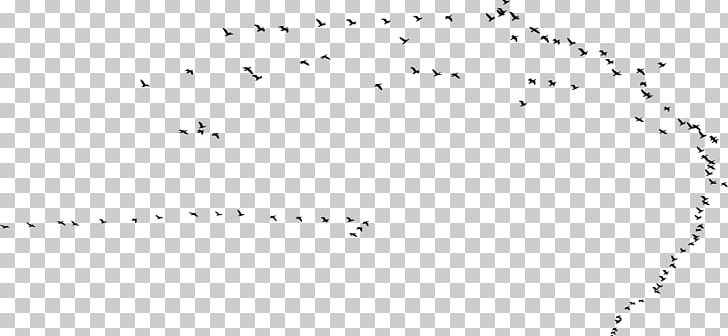 Hummingbird Swallow Flight Flock PNG, Clipart, Angle, Animals, Area, Barn Swallow, Beak Free PNG Download