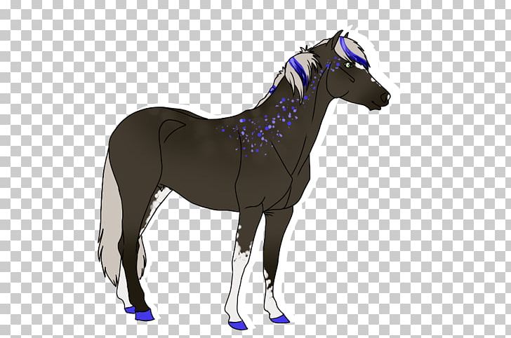 Thoroughbred Mare Stallion Foal Mane PNG, Clipart, Black Caviar, Breyer Animal Creations, Bridle, Colt, Dressage Free PNG Download