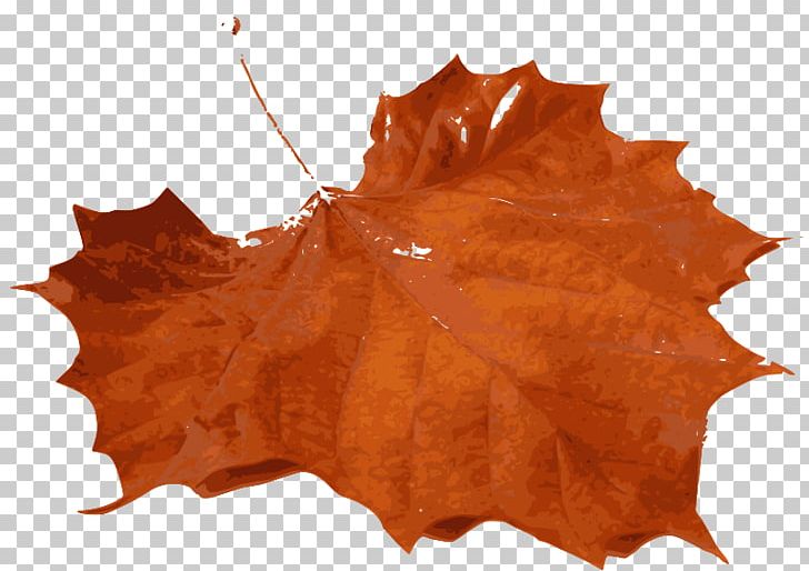 Autumn Leaf Color PNG, Clipart, Autumn, Autumn Leaf Color, Computer Icons, Download, Leaf Free PNG Download