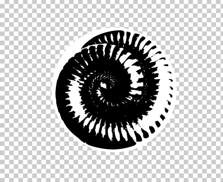 The Downward Spiral Nine Inch Nails Logo Sin Music PNG 