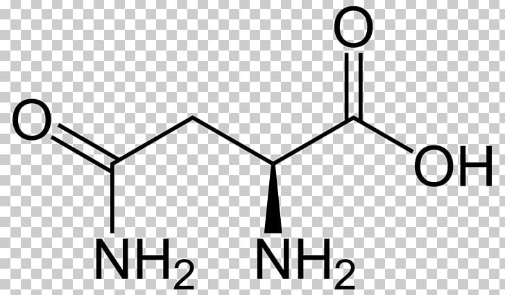 Aspartic Acid Glucogenic Amino Acid Asparagine PNG, Clipart, Acid, Alanine, Amine, Amino, Amino Acid Free PNG Download