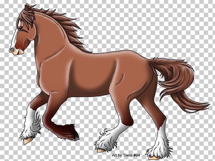 Foal Mane Stallion Mustang Mare PNG, Clipart, Bridle, Cartoon, Character, Colt, Crosses Free PNG Download