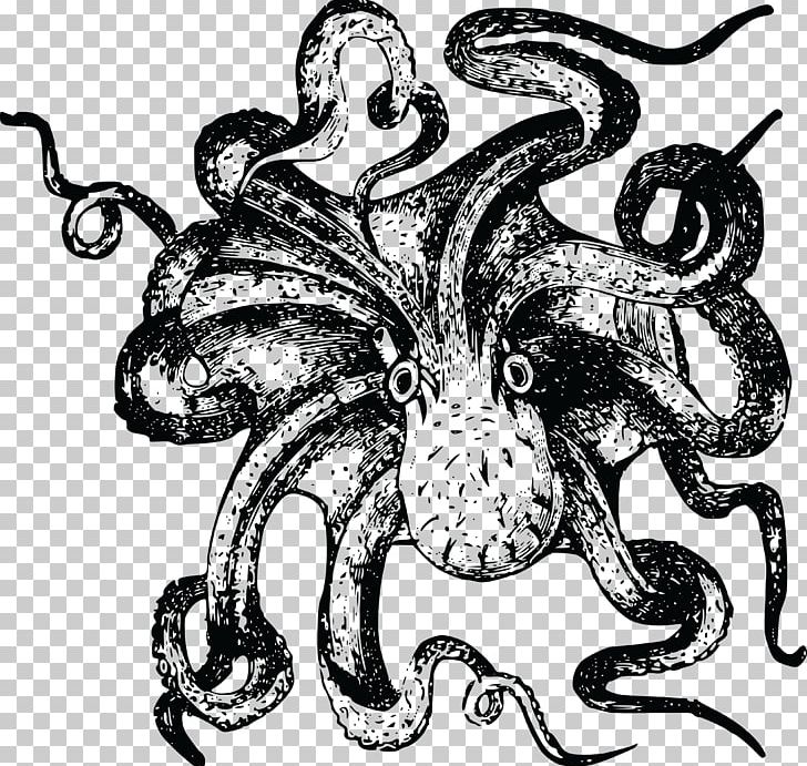 Octopus Sea Monster Drawing PNG, Clipart, Art, Artwork, Black And White, Cephalopod, Drawing Free PNG Download