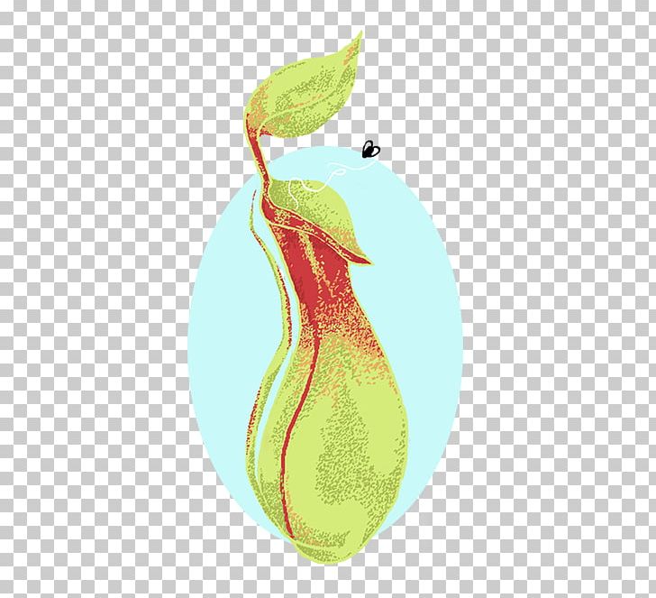 Pear Fruit PNG, Clipart, Food, Fruit, Organism, Pear, Pitcher Plant Free PNG Download