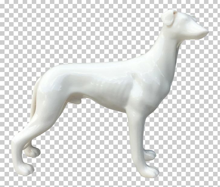 Whippet Italian Greyhound Spanish Greyhound Polish Greyhound PNG, Clipart, Borzoi, Breed, Breed Group Dog, Carnivoran, Ceramic Free PNG Download