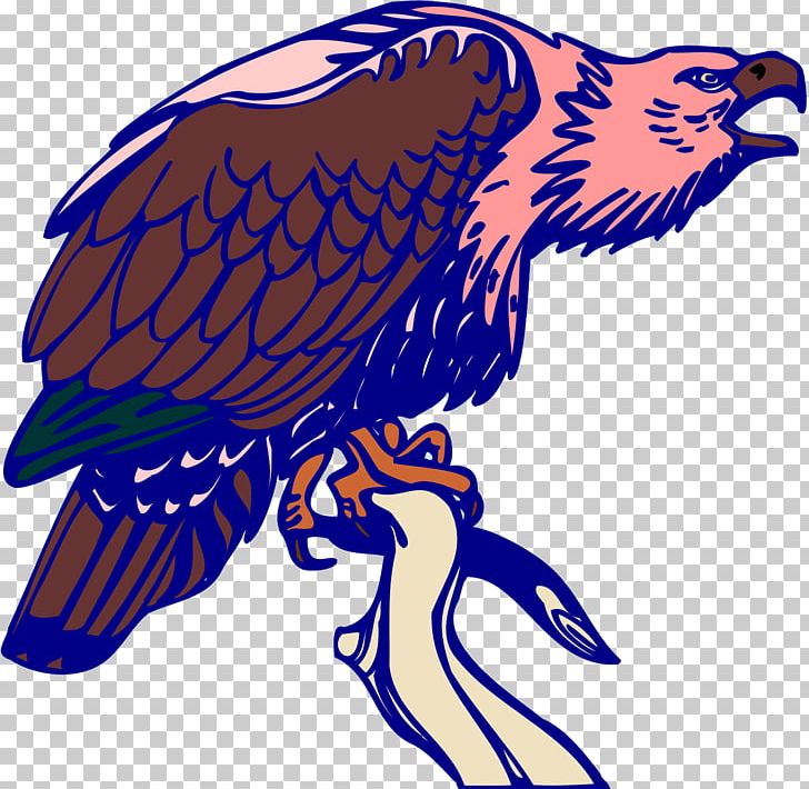 Bird Of Prey Bald Eagle Vulture PNG, Clipart, Animal, Animals, Art, Artwork, Bald Eagle Free PNG Download