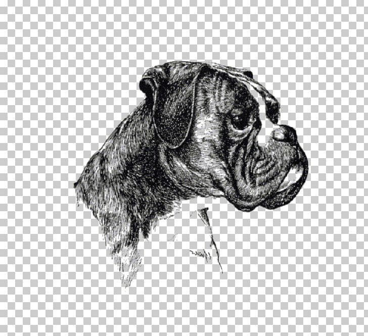 Boxer Club E.V. Boxer-Klub E.V. Breed Race PNG, Clipart, Artwork, Black And White, Boxer, Breed, Canidae Free PNG Download