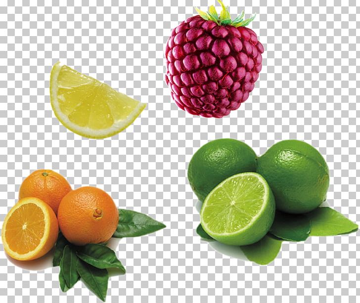 Orange Juice Tangerine Grapefruit Lemon Berry PNG, Clipart, Citrus, Food, Free Logo Design Template, Fruit, Fruit Nut Free PNG Download