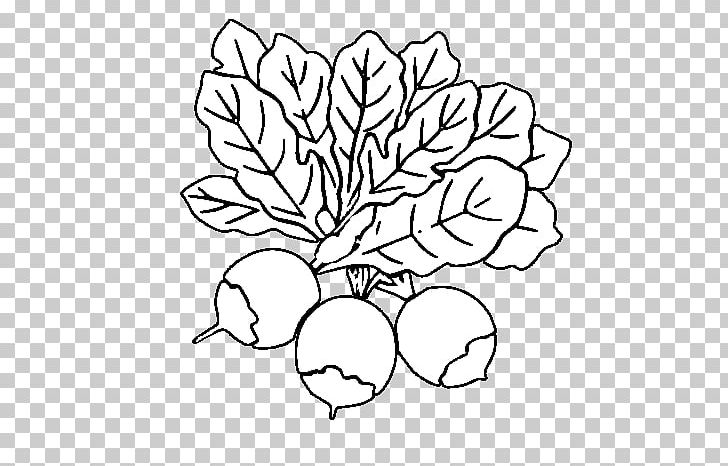 Beetroots Drawing Coloring Book Vegetables PNG, Clipart, Area, Beetroot, Beetroots, Black, Black And White Free PNG Download
