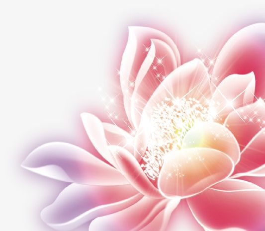 Flower PNG, Clipart, Background, Creative, Festival, Flower, Flower Glare Free PNG Download
