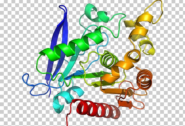 Lectin Protein Mistletoe Plant PNG, Clipart, 6 B, Artwork, B 70, Cytotoxicity, D 6 Free PNG Download