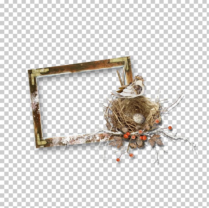Wood PNG, Clipart, Bird Nest, Download, Mood, Nature, Nest Free PNG Download