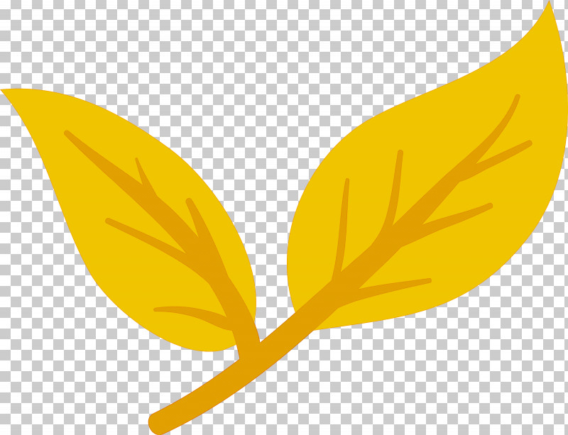 Meter Icon Leaf Computer Yellow PNG, Clipart, Computer, Leaf, Logo, Meter, Yellow Free PNG Download