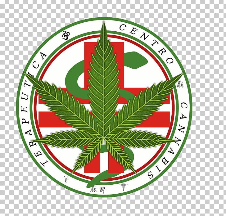 Cannabis Sativa Marijuana Medical Cannabis Leaf PNG, Clipart, Afghanica, Cannabidiol, Cannabinoid, Cannabis, Cannabis Sativa Free PNG Download