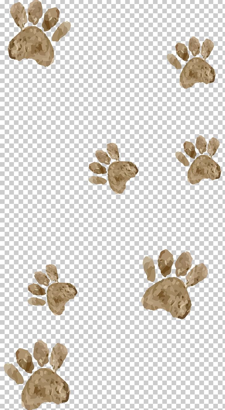 Cartoon Animal PNG, Clipart, Animal, Cartoon, Footprint, Footprints, Footprints Vector Free PNG Download