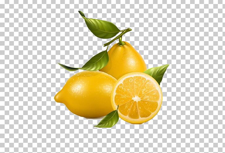 Lemonade Fruit PNG, Clipart, Calamondin, Christmas Decoration, Citrus, Color, Decorative Free PNG Download