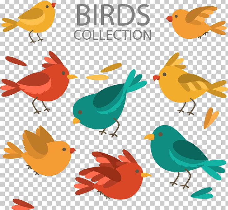 Lovebird Feather Illustration PNG, Clipart, Animal, Animals, Balloon Cartoon, Beak, Bird Free PNG Download
