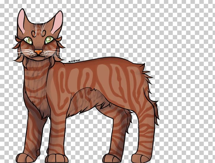 Manx Cat Whiskers Kitten Wildcat Domestic Short-haired Cat PNG, Clipart, Animals, Big Cat, Big Cats, Canidae, Carnivoran Free PNG Download