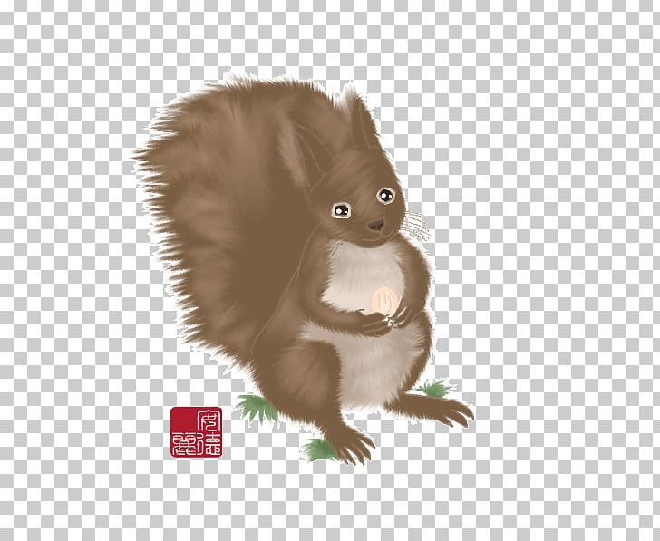 Squirrel Whiskers Fur Fauna Snout PNG, Clipart, Animals, Fauna, Fur, Mammal, Rodent Free PNG Download