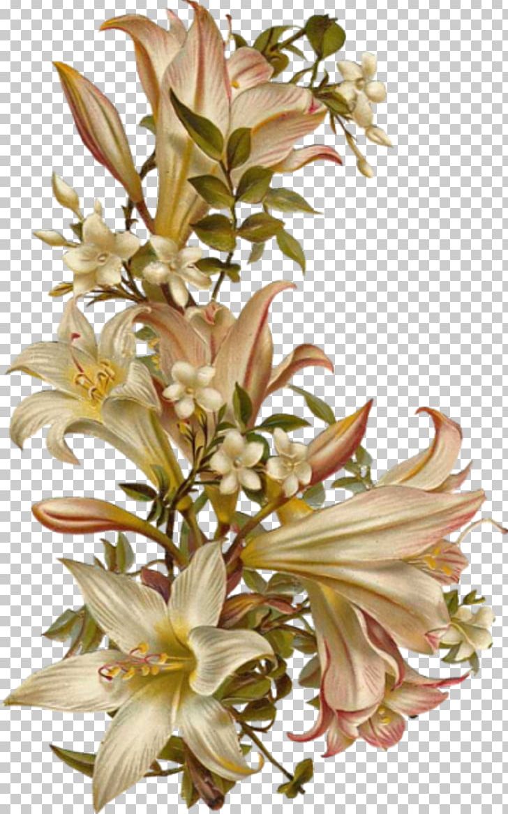 Flower PNG, Clipart, Art, Cut Flowers, Flora, Floral Design, Floristry Free PNG Download