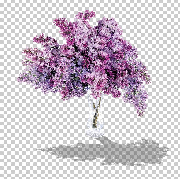 Lilac Lavender PNG, Clipart, Blossom, Branch, Cherry Blossom, Common Lilac, Desktop Wallpaper Free PNG Download