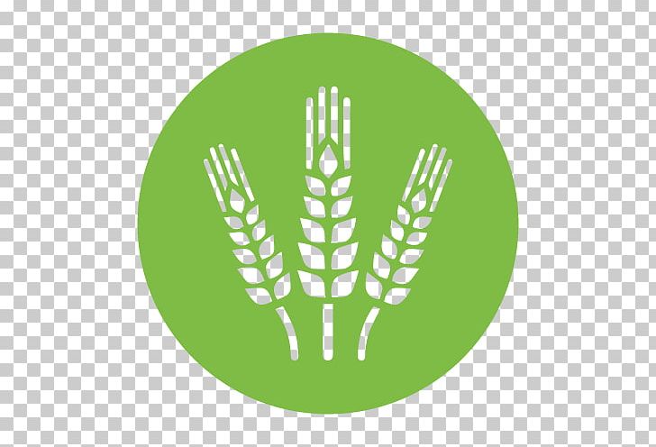 Agriculture Ear PNG, Clipart, Agriculture, Cereal, Commodity, Computer Icons, Crop Free PNG Download